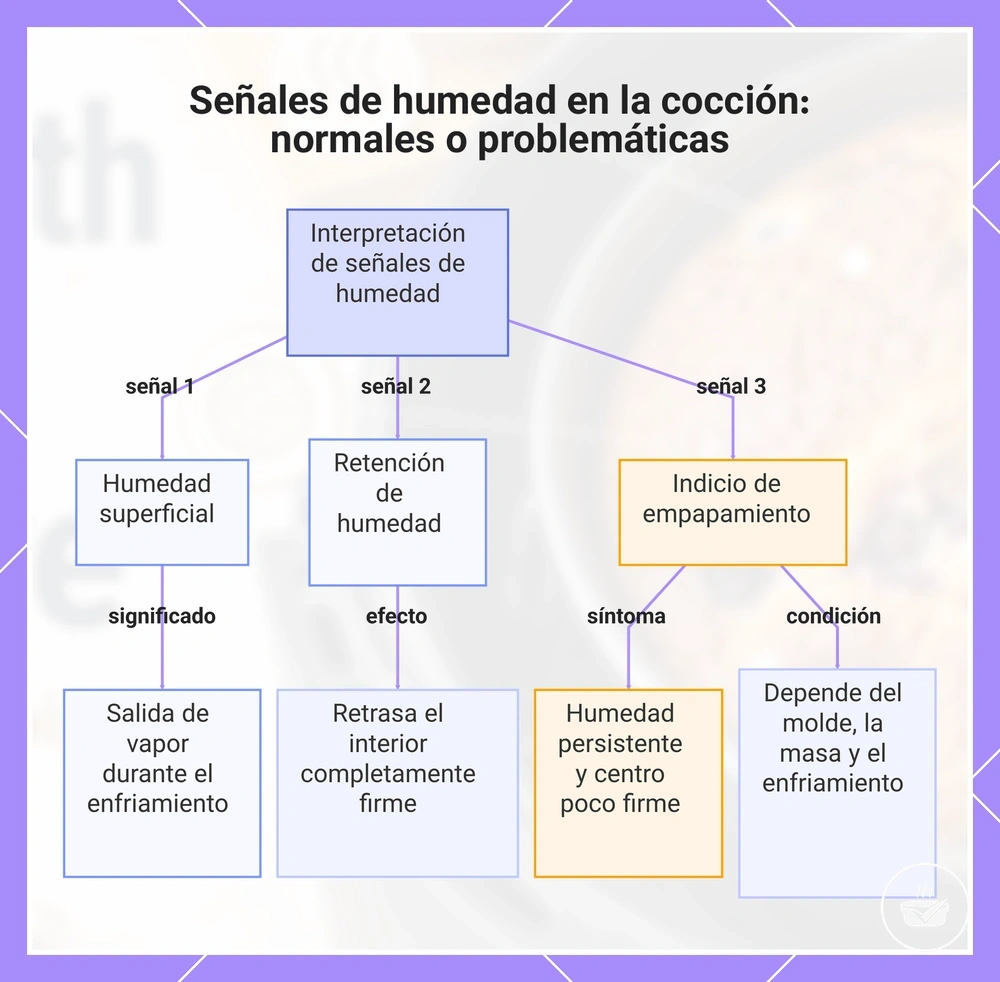 Señales de humedad en la cocción: normales o problemáticas